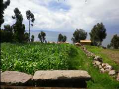 Island Amantani13